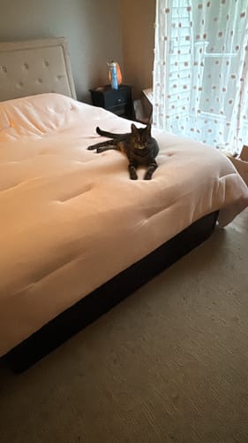 Karla
